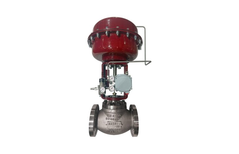 Masoneilan 23005 Series PXR Stem and Port Valve